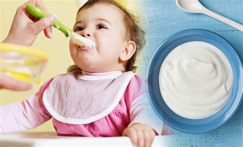 Bebeklere ev yoğurdu nasıl yapılır